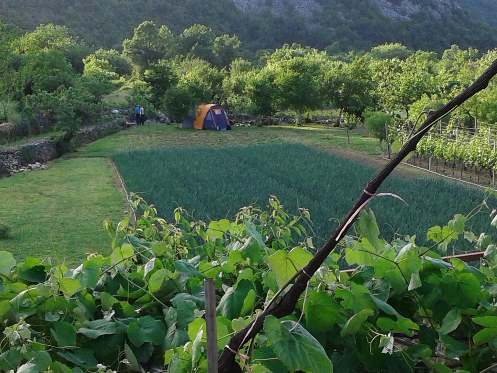 Guesthouse Feel Lake Virpazar Ngoại thất bức ảnh