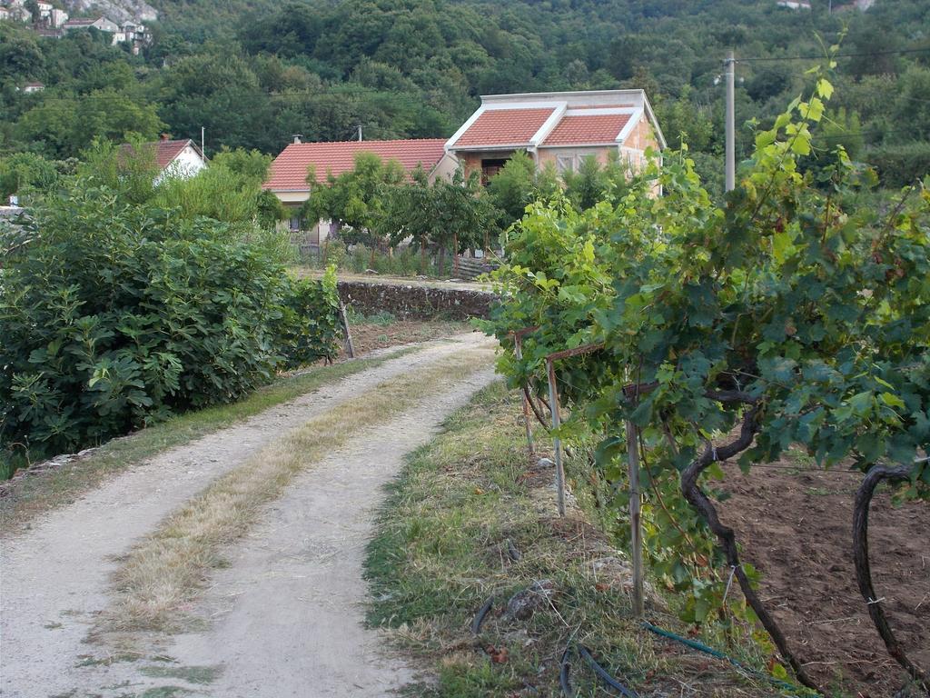 Guesthouse Feel Lake Virpazar Ngoại thất bức ảnh